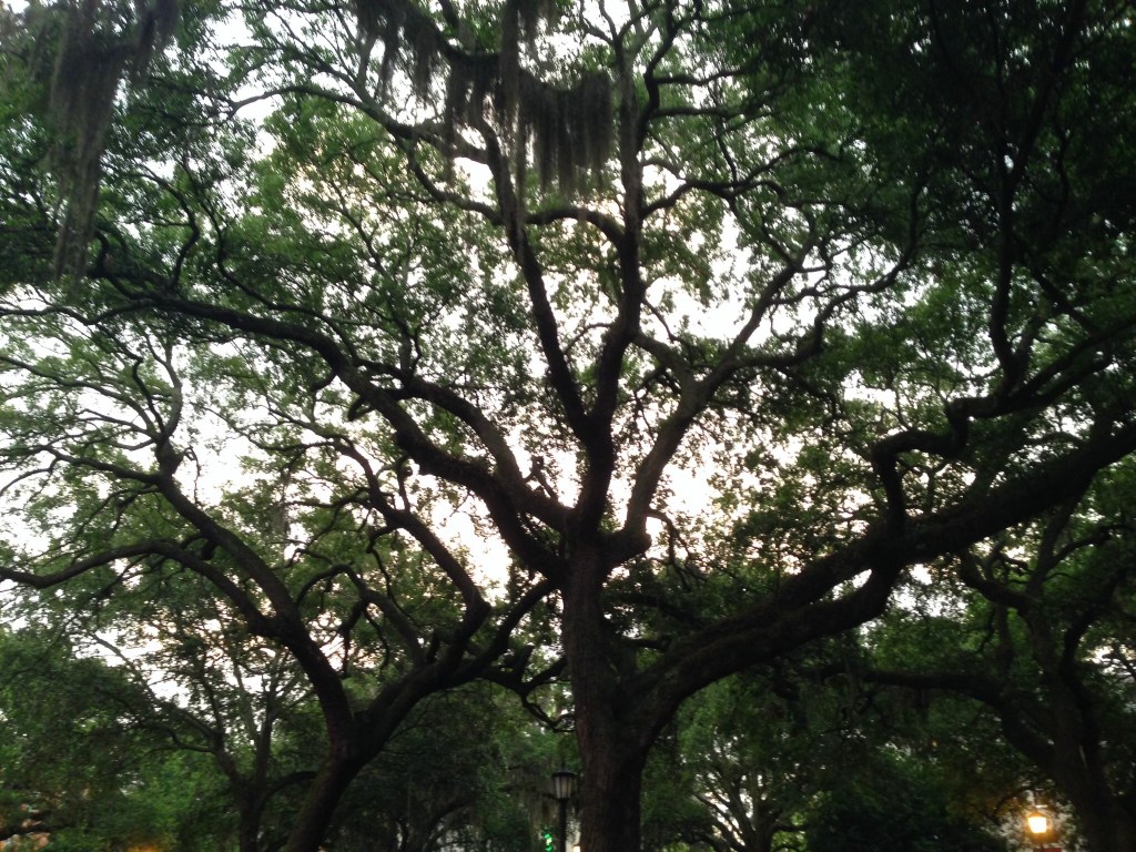 From the Road I'm On - Chippewa Square