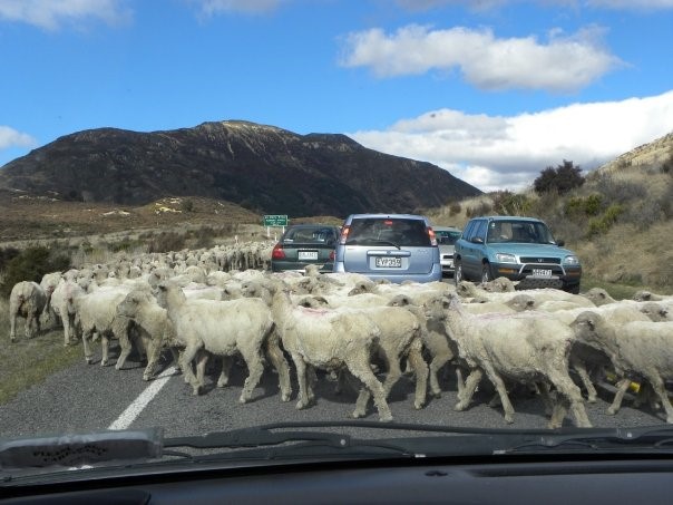 fromtheroadimon_newzealand