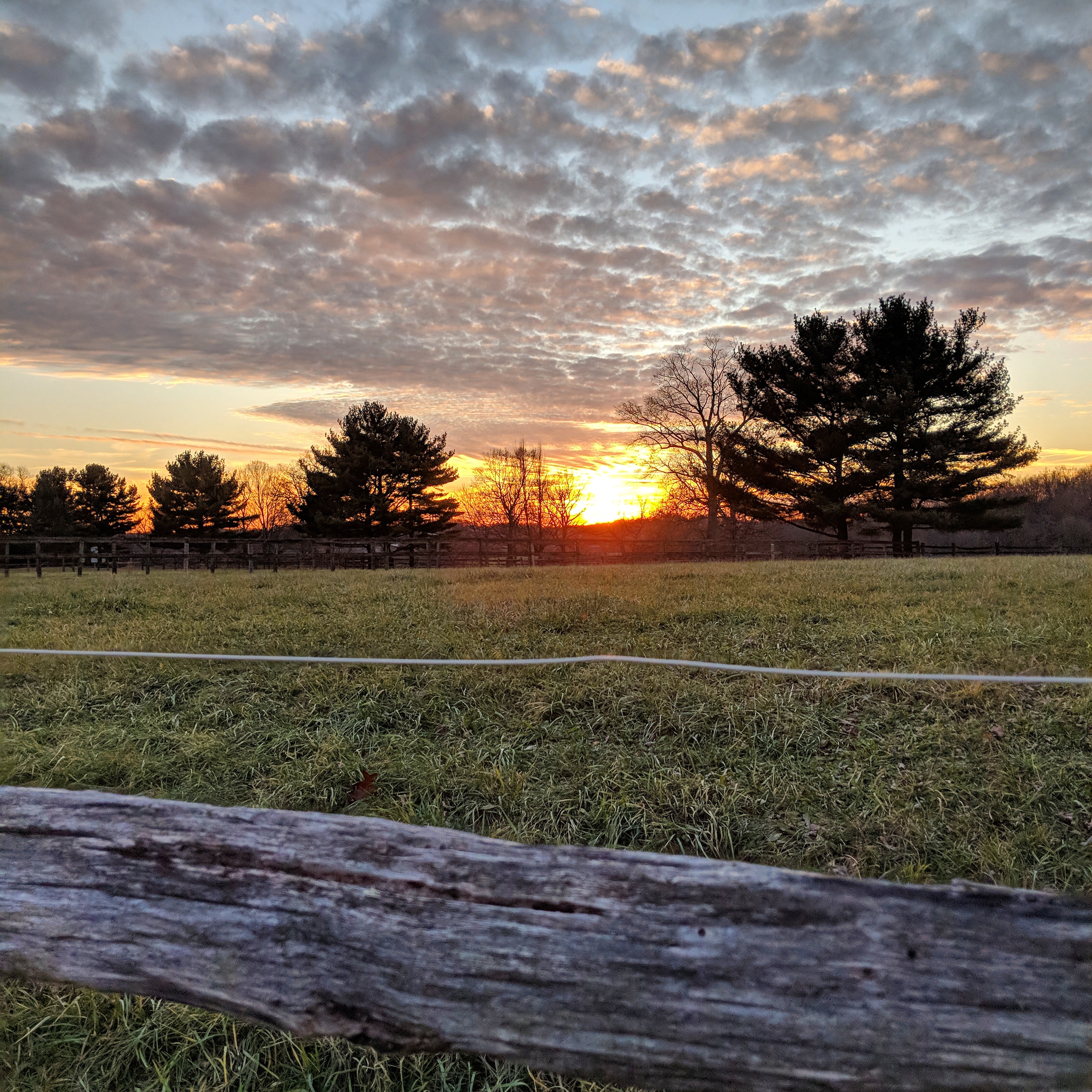 7 Reasons_Header Image_KR